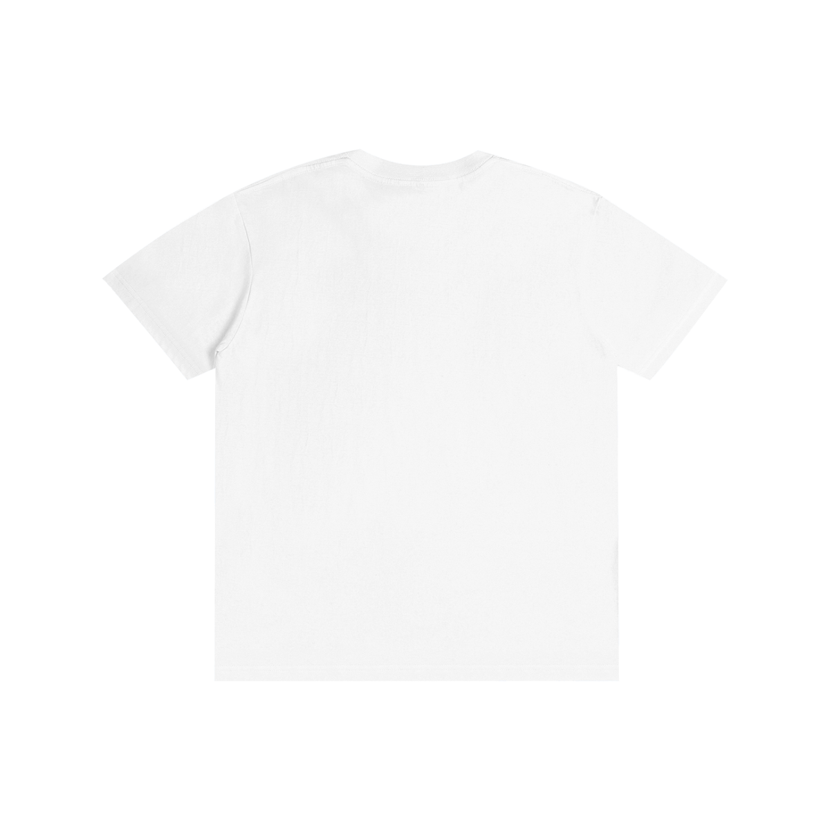 Prichard colon T-Shirt